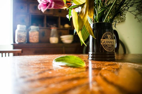 Spoon and the Stars Hostel by null