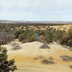 Brown Springs Campground - They have disc golf