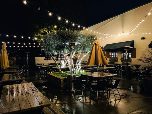 Harry's Hofbrau by null