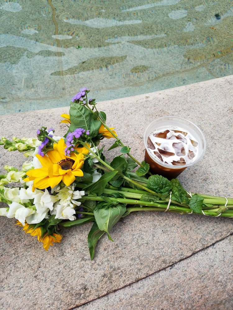 WOODSTOCK FARMS Updated August 2024 586 Senexet Rd, Woodstock