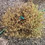 Photo of Patkin Landscaping