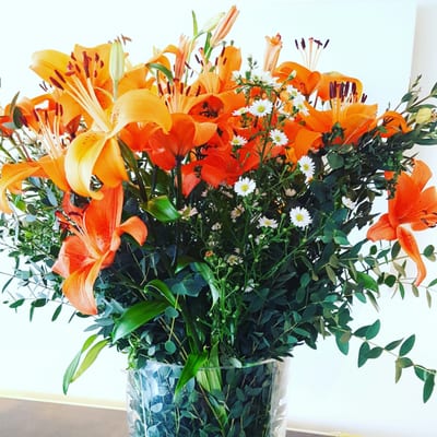 Marienlyst beach hotel by null