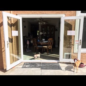 Pure View Window & Door - The dogs love the new French doors - Windows Installation Near Me - Ventura, California Pure View Window & Door - The dogs love the new French doors - Windows Installation Near Me - Ventura, California