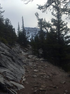 Tunnel Mountain Trail by null