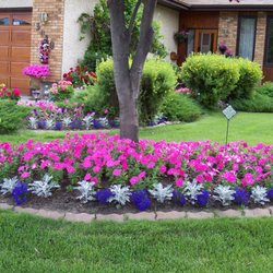 Community Landscaping