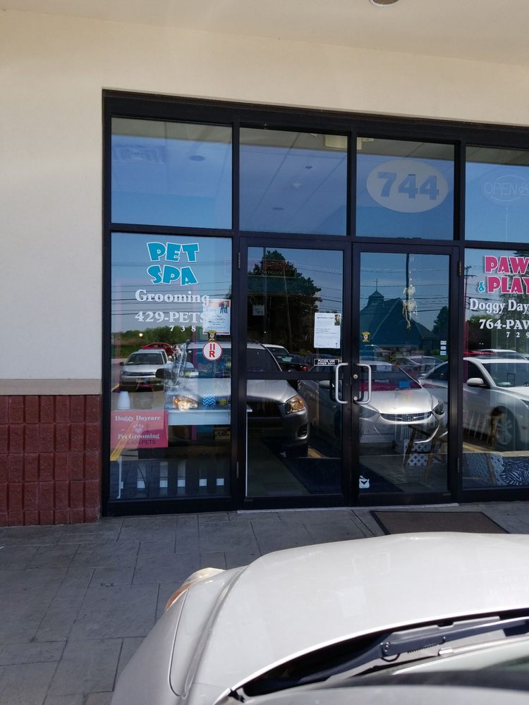 PET SPA GROOMING & PAWS & PLAY DAYCARE Pet Sitting 744 Elmgrove Rd