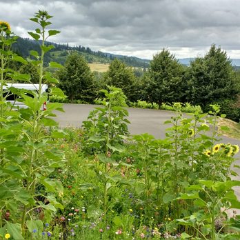 Backcountry Wine Tours - Wine tour delights - Wine Tours Near Me