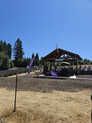 Helvetia Lavender Farm and Christmas Tree Farm by null