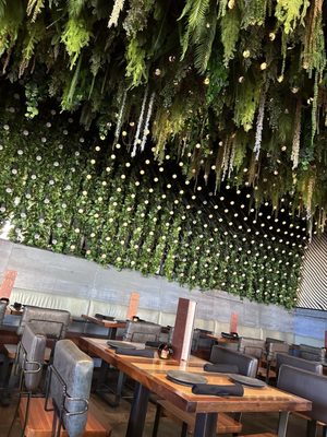 Flecha Cantina by null