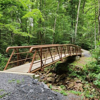 Virginia State Parks - This seemed new. Nice creek as well. - Hiking Near Me - Clifton Forge, Virginia Virginia State Parks - This seemed new. Nice creek as well. - Hiking Near Me - Clifton Forge, Virginia