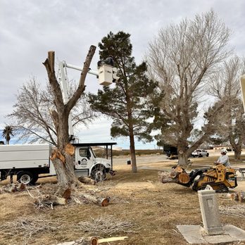Genesis Tree Care - Tree Services Near Me Genesis Tree Care - Tree Services Near Me