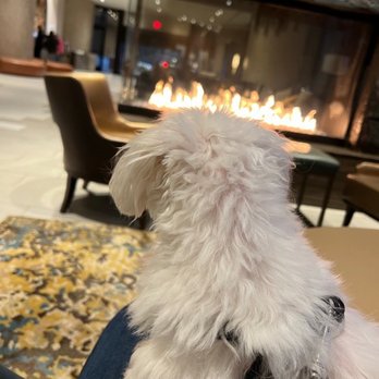 The Westin Chattanooga - George love fire places... - Hotels Near Me - Chattanooga, Tennessee The Westin Chattanooga - George love fire places... - Hotels Near Me - Chattanooga, Tennessee