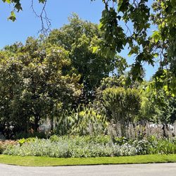 Carlton Gardens