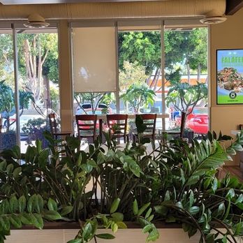 Tarme Mediterranean Grill - Mediterranean Near Me - Glendale, California Tarme Mediterranean Grill - Mediterranean Near Me - Glendale, California