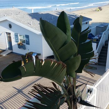 The Crystal Pier Hotel - Suite/Room #25. View from balcony. - Hotels Near Me - San Diego, California The Crystal Pier Hotel - Suite/Room #25. View from balcony. - Hotels Near Me - San Diego, California