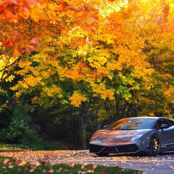 DMW Automotive - Auto Detailing Near Me - Fenton, Michigan DMW Automotive - Auto Detailing Near Me - Fenton, Michigan
