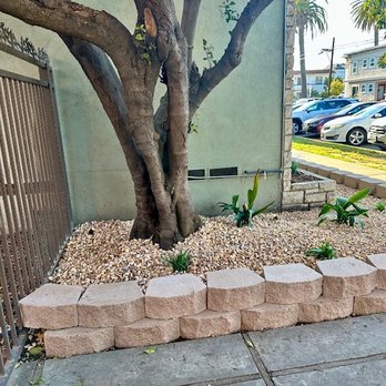 MC Landscaping - Outside front gate; small side yard with new wall and gravel, existing tree and new plants (cast iron, gardenia) - Landscaping Near Me - Lakewood, California