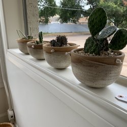 The Gallery Frame Shoppe + Goods - Ceramic pots with drought friendly plants