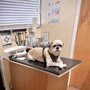 Photo of Peninsula Avenue Veterinary Clinic