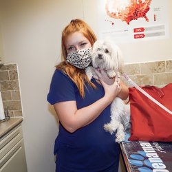 CareVet University Animal Clinic