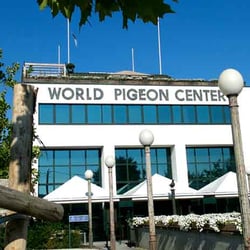 Loft-World Pigeon Centre