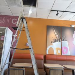 Dunkin' - Ceiling