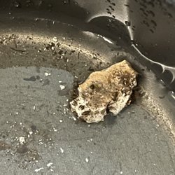 Riner Rentals - Black mold from my bedroom ceiling.