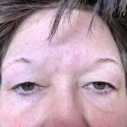 Eyebrow Makeover at Camera Ready Brows - Brow 2 - Before