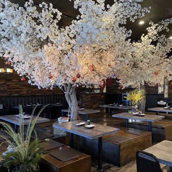 Sushi Kadan - Dining area - Sushi Bars Near Me - Carrollton, Texas Sushi Kadan - Dining area - Sushi Bars Near Me - Carrollton, Texas