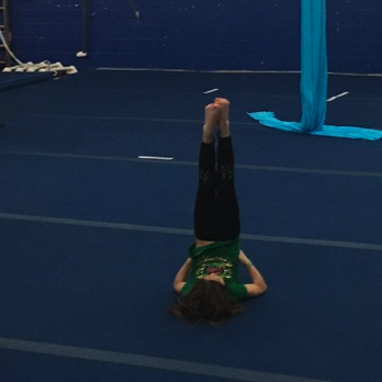 Premier Gymnastics - Gymnastics Near Me - Stoughton, Massachusetts