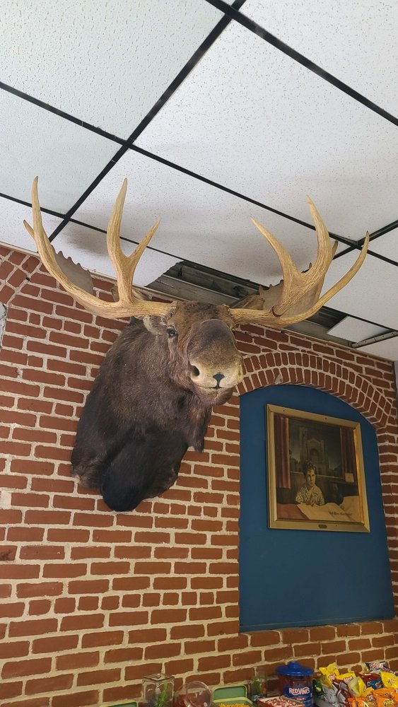 Moose Lodge No 1873 Logo