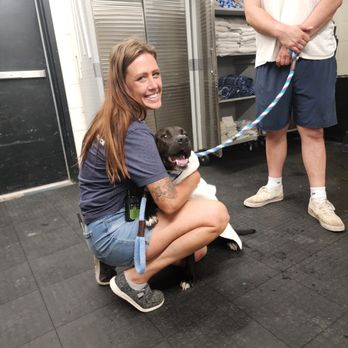 The Dog Academy - Pet Groomers Near Me - Katy, Texas
