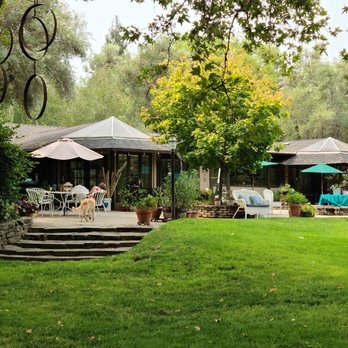 Johnsen Creek Estate - A vibrant grassy landscape to set up tables or seating for your event. tons of shade, even on warm days and misters available on request. - Venues & Event Spaces Near Me - Chico, California Johnsen Creek Estate - A vibrant grassy landscape to set up tables or seating for your event. tons of shade, even on warm days and misters available on request. - Venues & Event Spaces Near Me - Chico, California