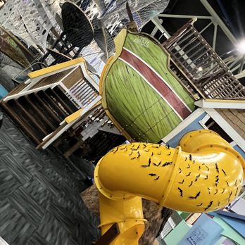 Great Explorations Children's Museum - One big slide - Children's Museums Near Me - Saint Petersburg, Florida Great Explorations Children's Museum - One big slide - Children's Museums Near Me - Saint Petersburg, Florida