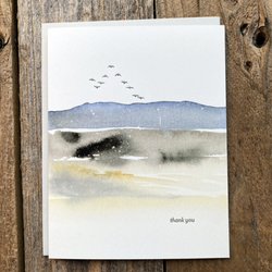 Lark Press
