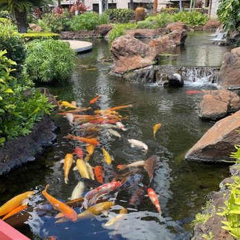Beach Villas at Ko Olina - My niece loved feeling the koy fish! - Resorts Near Me - Kapolei, Hawaii