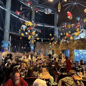Downtown Aquarium - Dining room - Museums Near Me - Denver, Colorado Downtown Aquarium - Dining room - Museums Near Me - Denver, Colorado