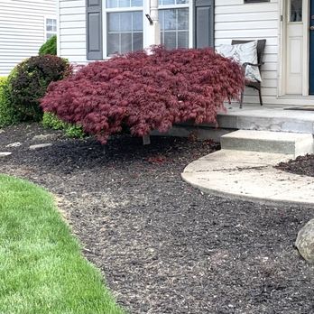 Shawn's Landscape And Design - Tree removal - Landscaping Near Me Shawn's Landscape And Design - Tree removal - Landscaping Near Me