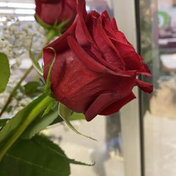 Chase Flower Shop