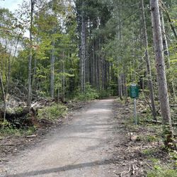 Pine Grove Trail - Trail