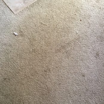 Mammoth Reservation Bureau - Extremely dirty, stained, run down rental units - Property Management Near Me - Mammoth Lakes, California