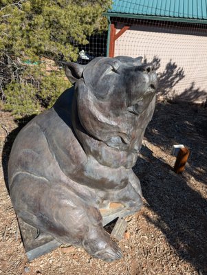 Santa Fe Botanical Garden by null