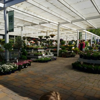 West End Nursery - Plant shopping - Nurseries & Gardening Near Me - San Rafael, California West End Nursery - Plant shopping - Nurseries & Gardening Near Me - San Rafael, California