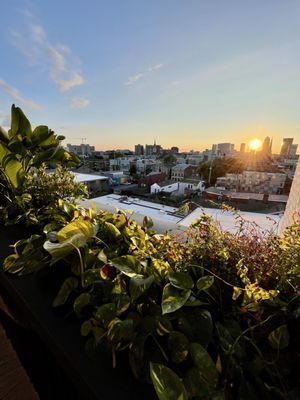 Hotel Genevieve by null
