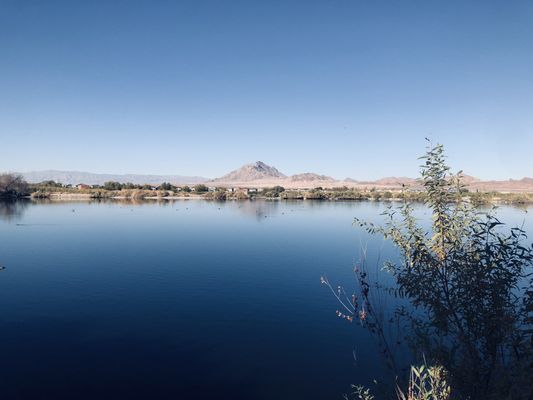 Henderson Bird Viewing Preserve by null