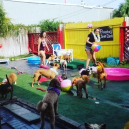 Pups enjoying their annual pool pawty. Pups enjoying their annual pool pawty.