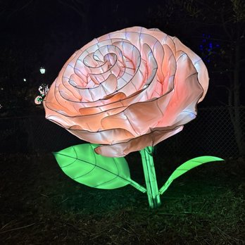 Lektrik Art - Festivals Near Me - Queens, New York