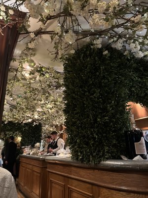 Clos Maggiore by null