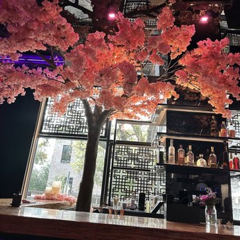 Ten Sushi - Bar area - Sushi Bars Near Me - Houston, Texas