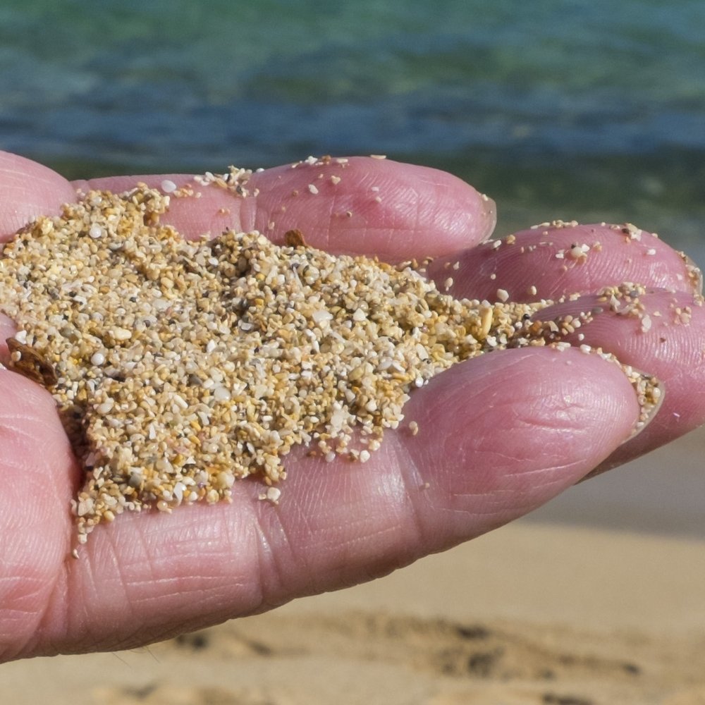 Crozier Beach - "I will show you fear in a handful of dust." - Beaches Near Me - Waialua, Hawaii Crozier Beach - "I will show you fear in a handful of dust." - Beaches Near Me - Waialua, Hawaii